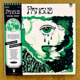 Fangus – Emerald Dream (Stardust)