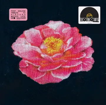 Post Malone - Post Malone Tribute to Nirvana