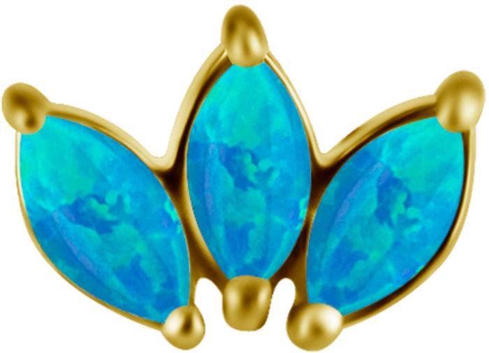 18K Gold CoCr 3 Fan Marquise Opal Threadless