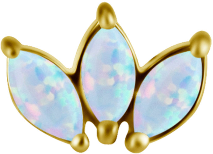 18K Gold CoCr 3 Fan Marquise Opal Threadless