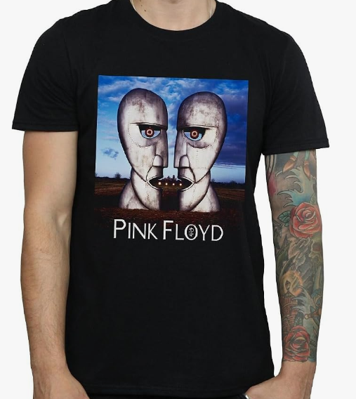 Pink Floyd - Division Bell