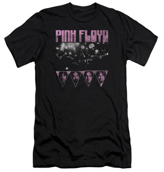 Pink Floyd - Moonster Hall