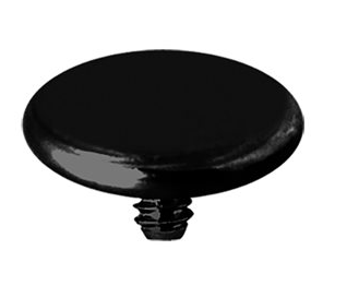 Disque de remplacement interne en titanium noir