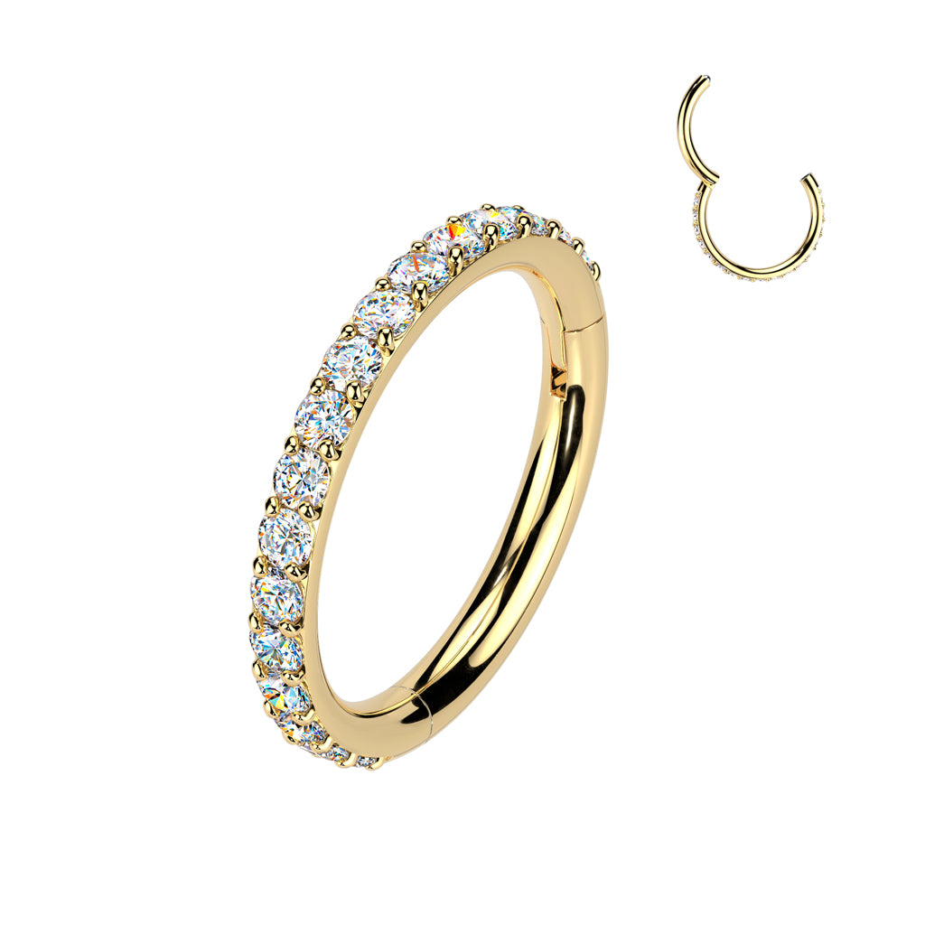 Titanium Hinged Segment Hoop Ring With Outward Facing Moissanite Pave CNC Set