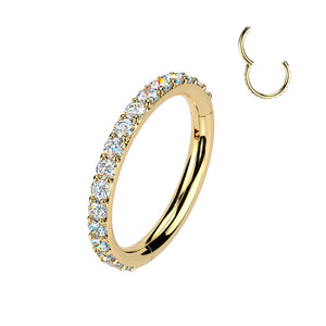 Titanium Hinged Segment Hoop Ring With Outward Facing Moissanite Pave CNC Set