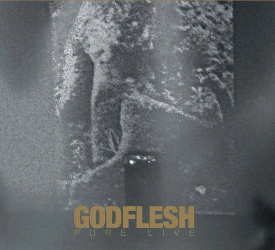 Godflesh – Pure : Live