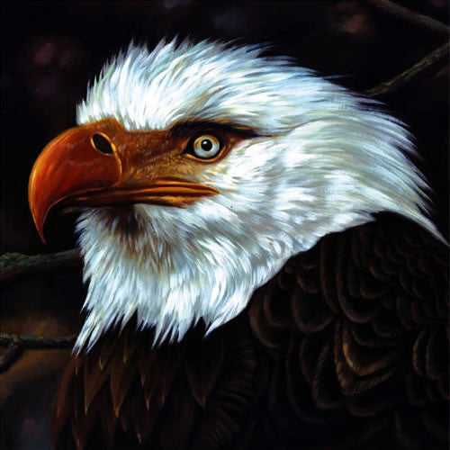 Mogwai – The Hawk Is Howling