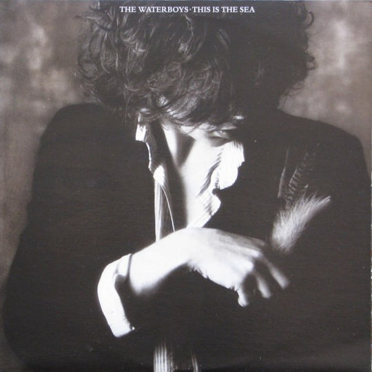 The Waterboys – This Is The Sea