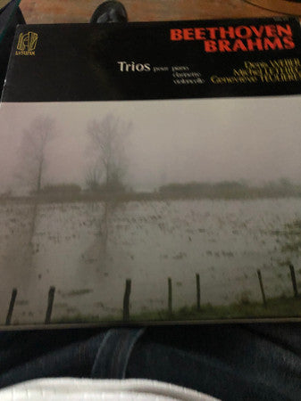 Beethoven*, Brahms* – Trios Pour Piano Clarinette Violoncelle
