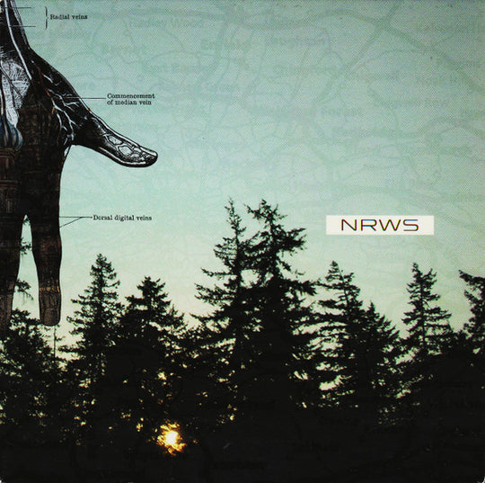 NRWS* – New Distances