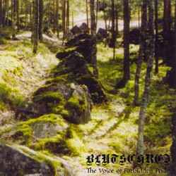 Blutschrei – The Voice Of Forbidden Pride