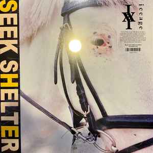 Iceage – Seek Shelter