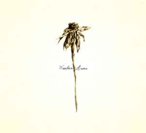 Patrick Watson (2) – Wooden Arms