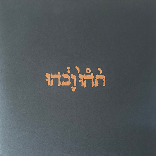 Godspeed You Black Emperor! – Slow Riot For New Zero Kanada E.P.