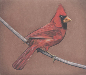 Alexisonfire – Old Crows / Young Cardinals