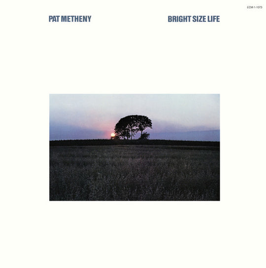 Pat Metheny – Bright Size Life