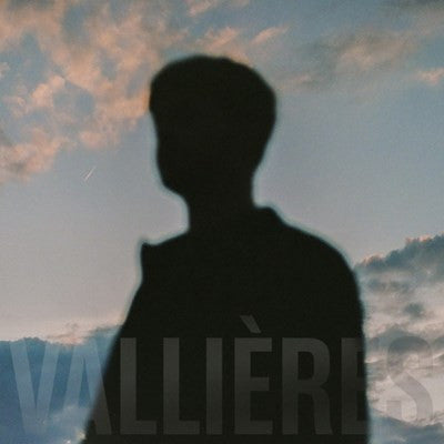 Vincent Vallières – Toute Beauté N'est Pas Perdue