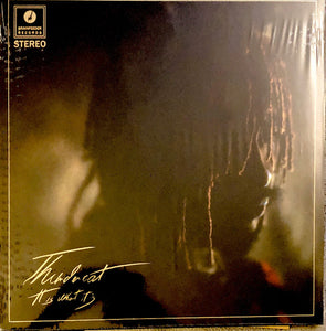 Thundercat – It Is What It Is