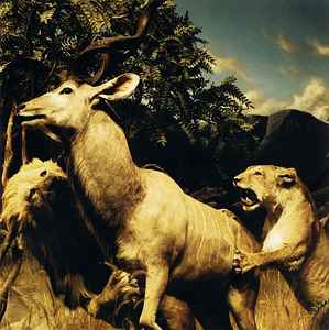 Interpol – Our Love To Admire