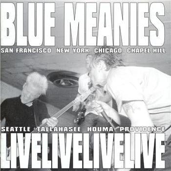Blue Meanies – A Sonic Documentation Of Exhibition And Banter