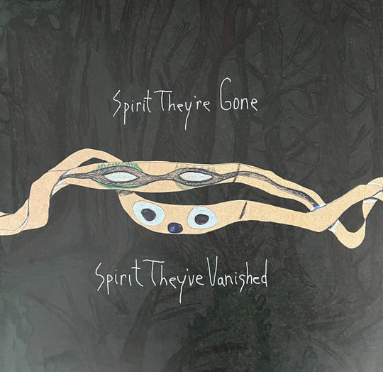Animal Collective – Spirit They're Gone Spirit They've Vanished