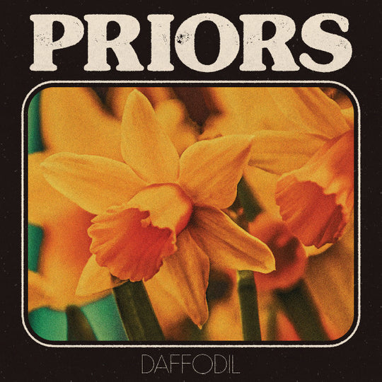 PRIORS (2) – Daffodil