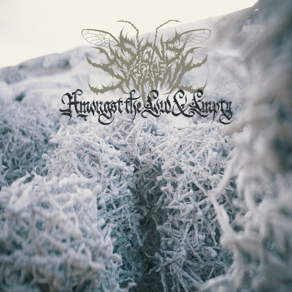 Signs Of The Swarm – Amongst The Low & Empty