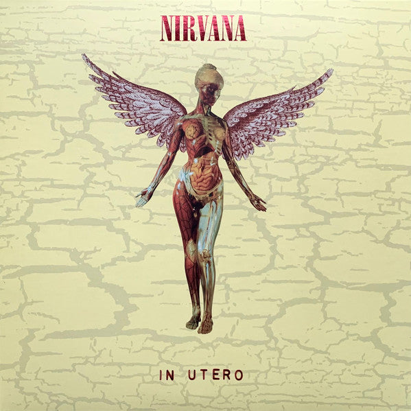 Nirvana – In Utero 30th Anniversary Edition