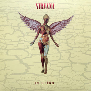 Nirvana – In Utero 30th Anniversary Edition