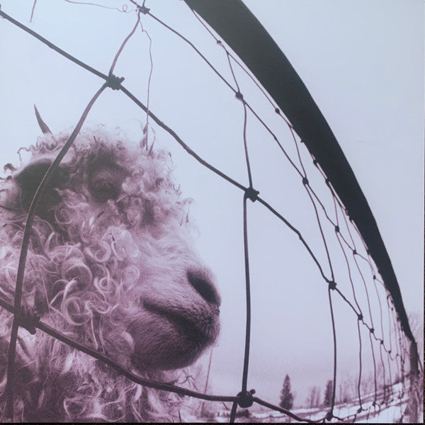 Pearl Jam – Vs. (Clear)