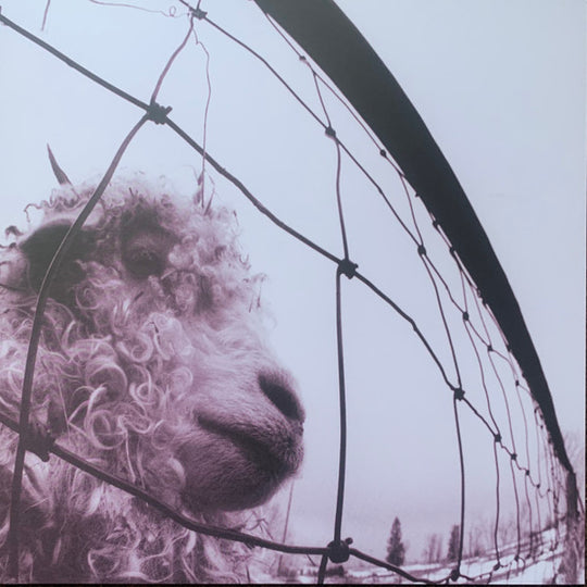 Pearl Jam – Vs. (Clear)