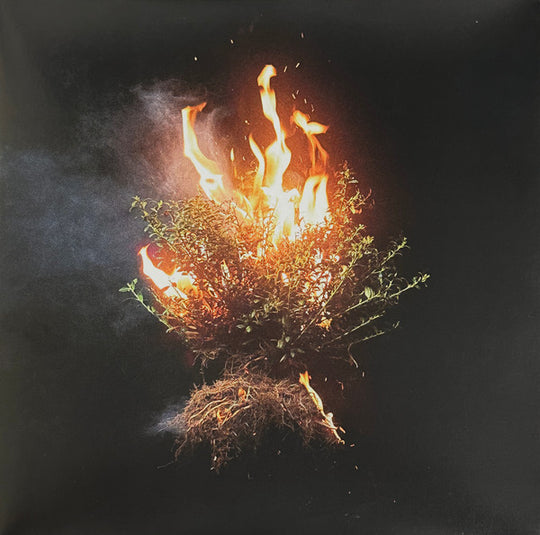 Elevation Worship  - CAN YOU IMAGINE?