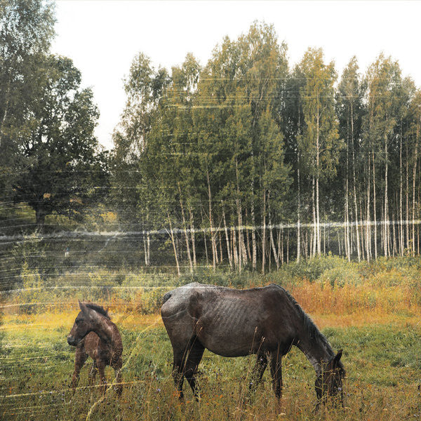 Pianos Become The Teeth – Old Pride