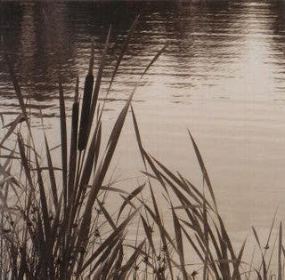 Gandr – Yöllisen Ylistys