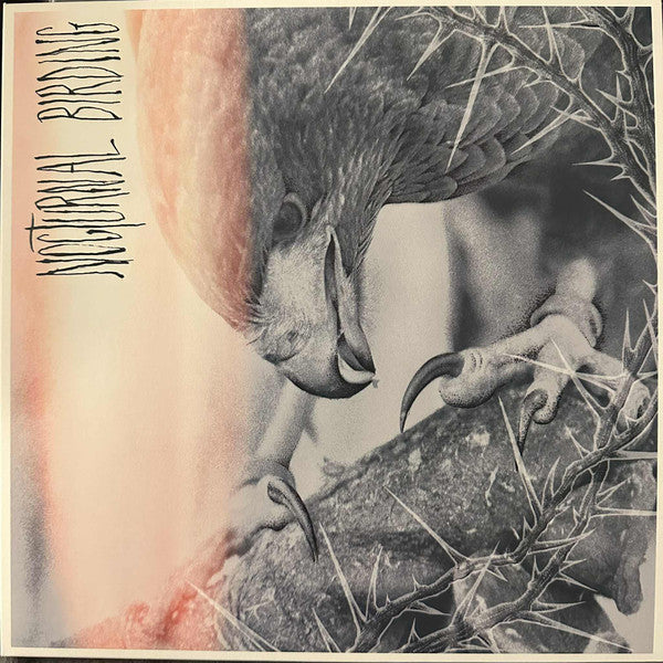 Author & Punisher – Nocturnal Birding