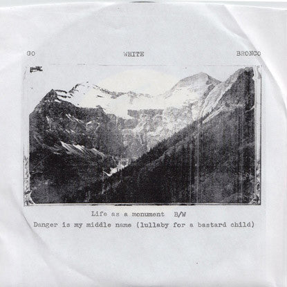 Go White Bronco – Life As A Monument