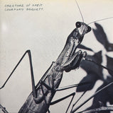 Courtney Barnett – Creature Of Habit
