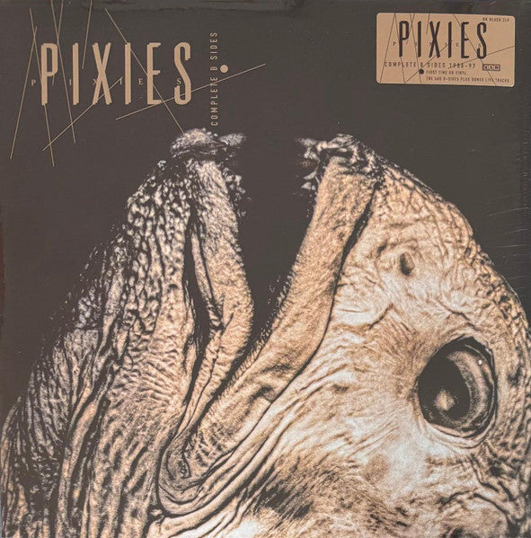 Pixies – Complete B Sides