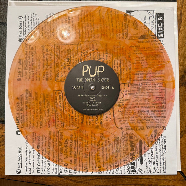 Pup – The Dream is Over