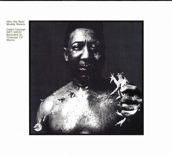 Muddy Waters – After The Rain