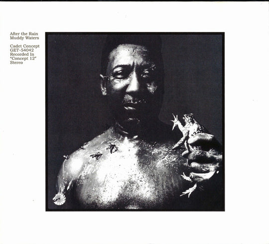 Muddy Waters – After The Rain