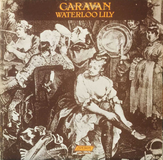 Caravan – Waterloo Lily