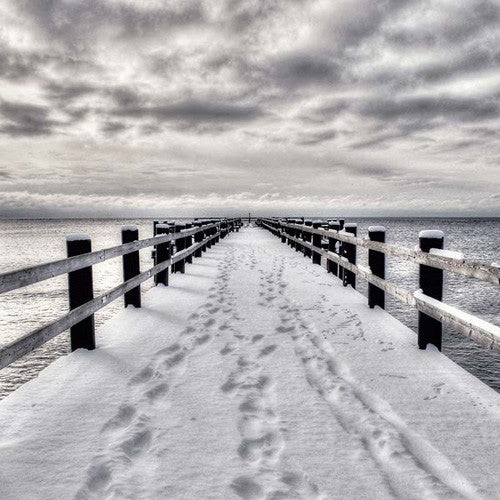 Ben Watt And Robert Wyatt – Summer Into Winter / North Marine Drive