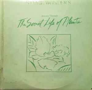 Stevie Wonder – Journey Through The Secret Life Of Plants