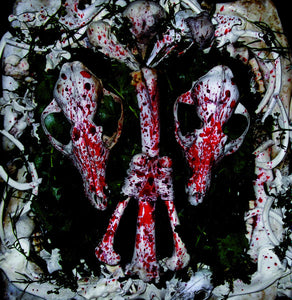 Instinct (13) – An Auroral Gathering Of Skulls