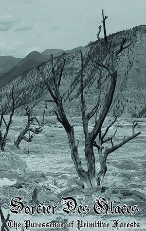 Sorcier Des Glaces – The Puressence Of Primitive Forests