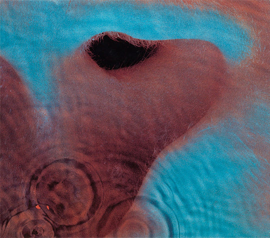 Pink Floyd – Meddle