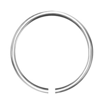 Titanium continuous seamless ring