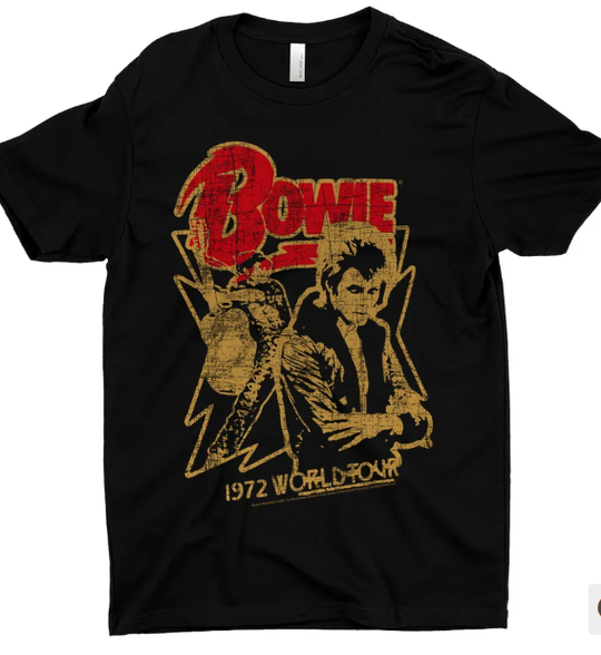 David Bowie - 72 World Tour