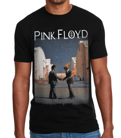 Pink Floyd - Wish You Were Here